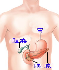 PNAS：用特异性基因突变诊断胰腺囊肿